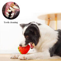 Strawberry Interactive Leaking Food Pet Puzzle Toy